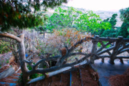 Wedding in Tinos